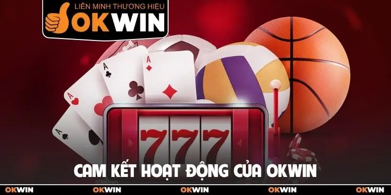 Cam kết hoạt động của OKWIN