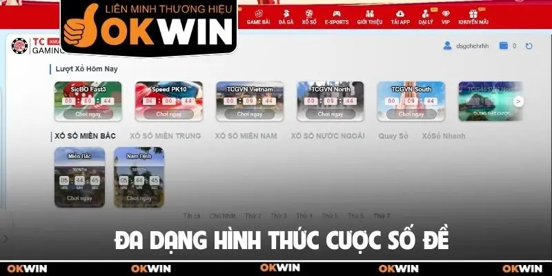Đa dạng hình thức cược số đề