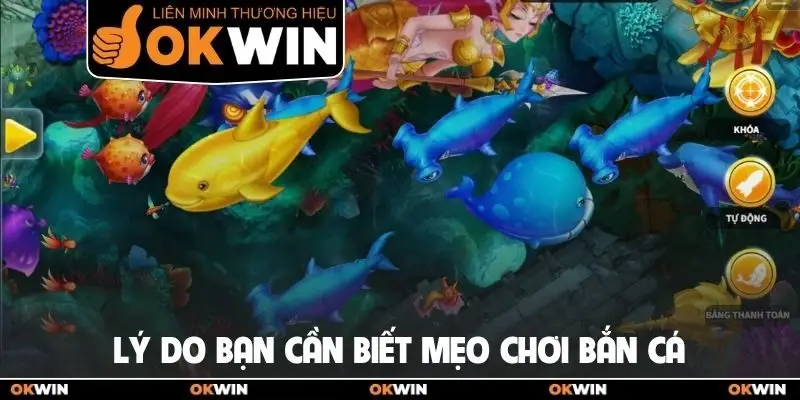 Lý do bạn cần biết mẹo chơi bắn cá